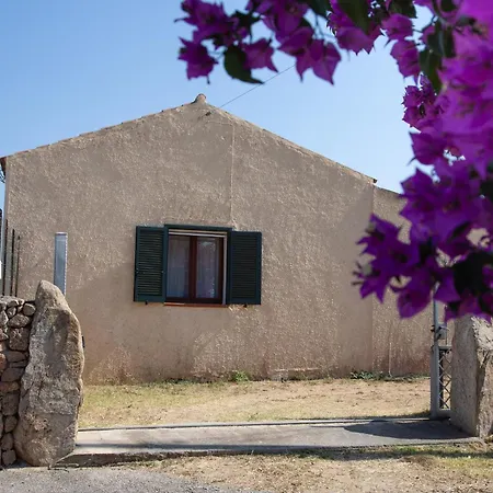 La Pavoncella Marina - Cozy Near Porto Taverna